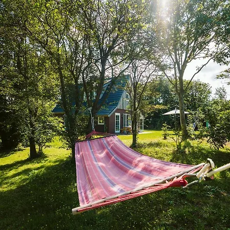 West Nieuwlandseweg 25 - - De Mispel Holiday home Ouddorp