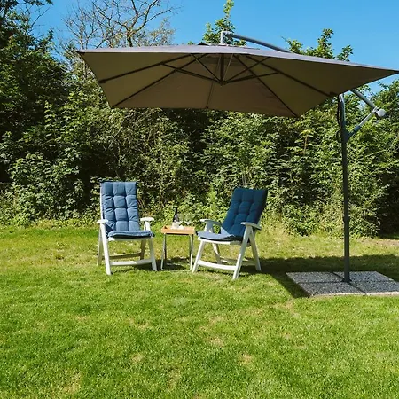 Holiday home West Nieuwlandseweg 25 - - De Mispel